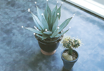 ポップスタイル