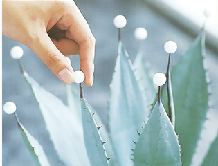 ポップスタイル