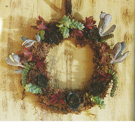 カクタスリース