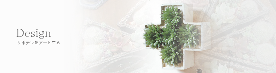 サボテンア―ト