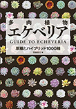 はじめての多肉ガーデン