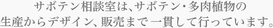 サボテン相談室は、サボテン・多肉植物の生産からデザイン、販売まで一貫して行っています
