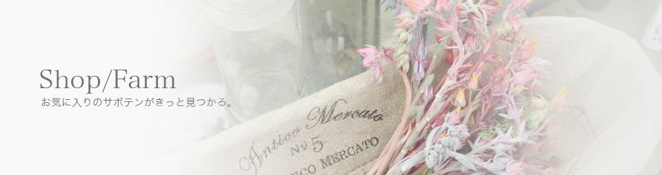 取扱店とファーム